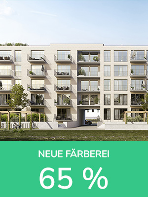 Projekt Neue Färberei